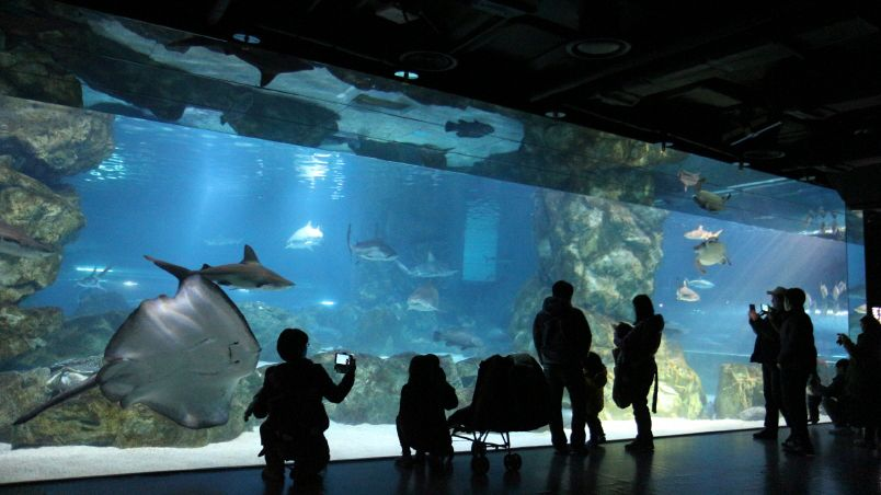 Coex 江南 江南Coex 韓国旅行 ソウル SM