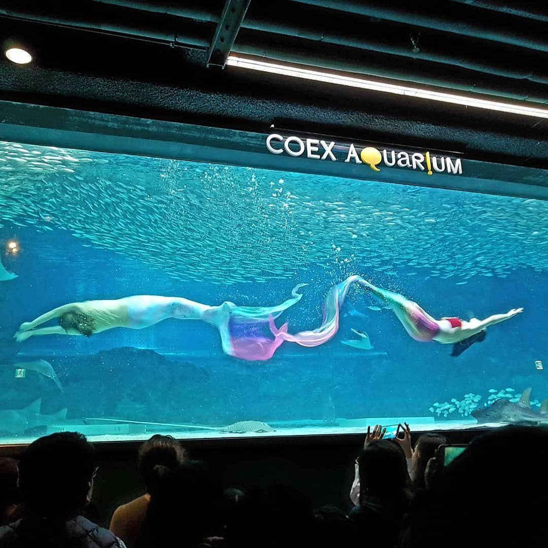 Coex 江南 江南Coex 韓国旅行 ソウル SM