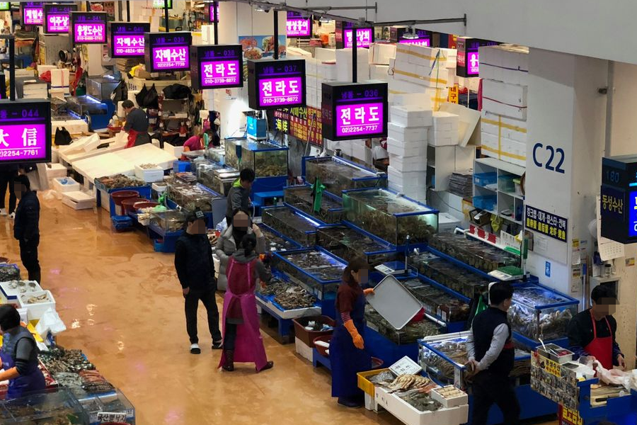 首爾鷺梁津市場的生動海鮮攤位，展示了豐富的海產種類