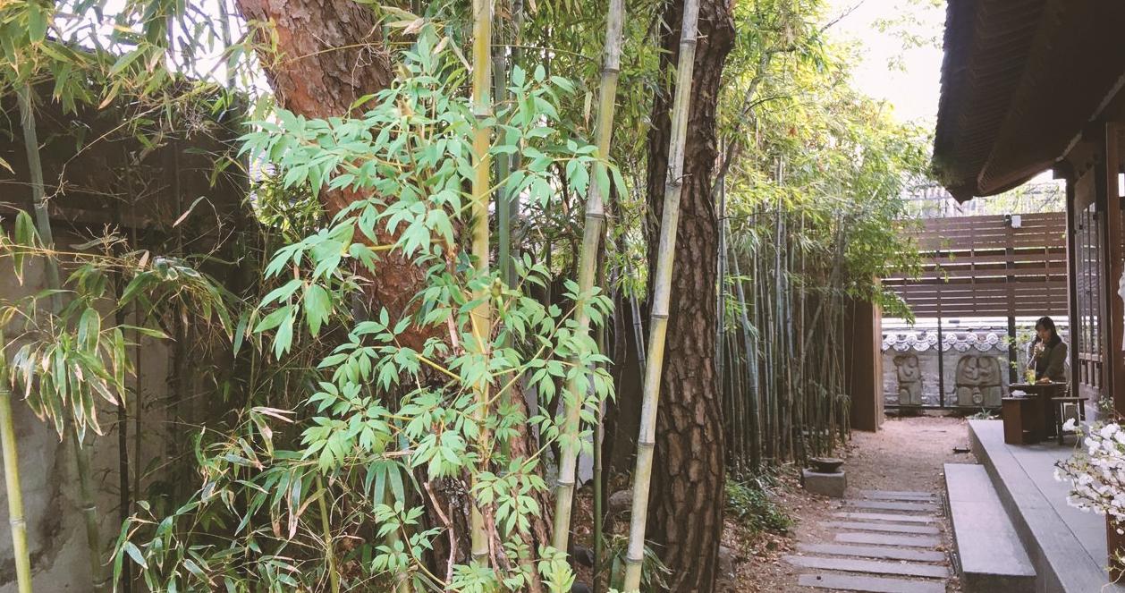 Không gian sân vườn yên tĩnh tại quán cà phê Almost Home, một điểm dừng chân thư giãn ở gần Cung điện Gyeongbokgung, Seoul.