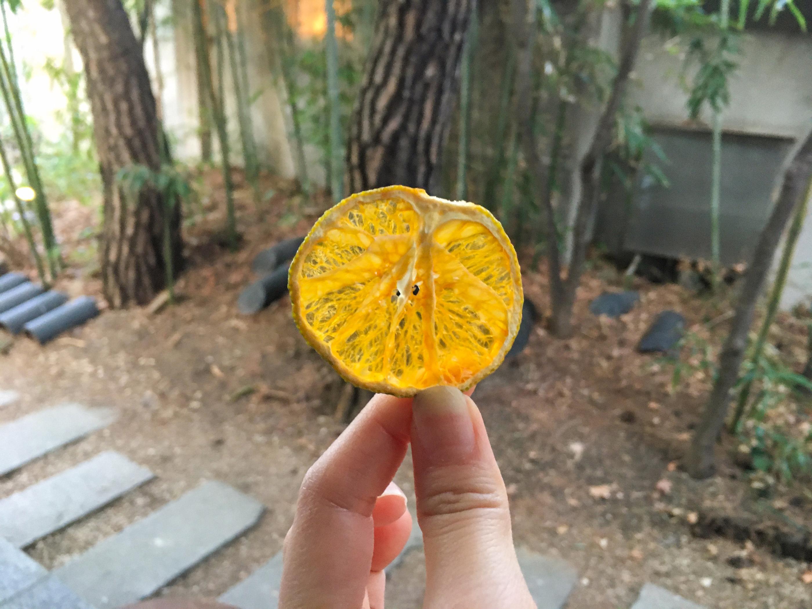 Almost Home Art Sonje Branch | Gyeongbokgung, A tranquil hanok cafe with traditional desserts