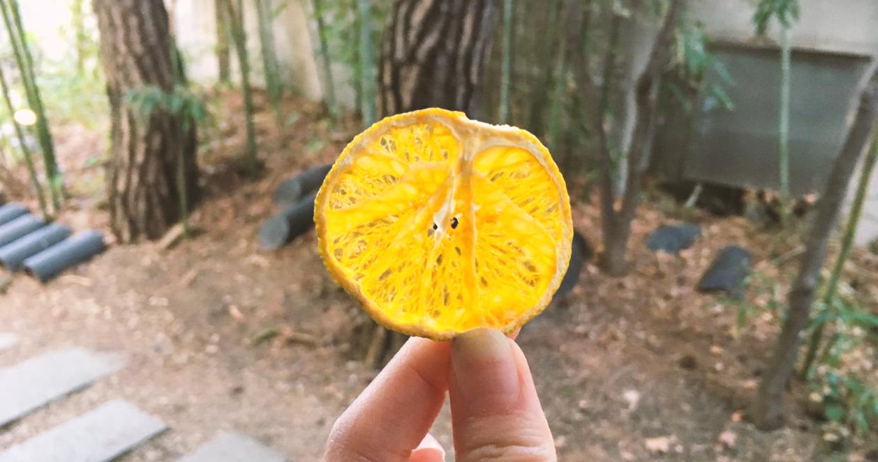 Một lát quýt vàng sấy khô đẹp mắt được trình bày tại quán cà phê Almost Home, gần Cung điện Gyeongbokgung.