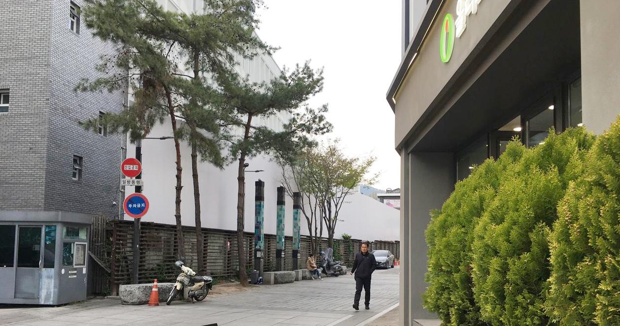 Hàng cây xanh mát chạy dọc con đường gần Olive Young, hướng đến quán cà phê hanok gần Gyeongbokgung.