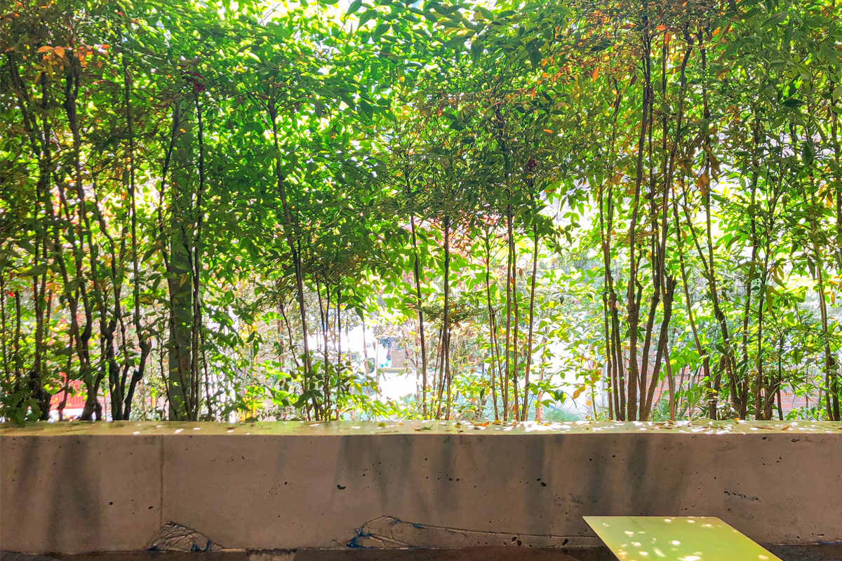 OSECHILL咖啡廳的舒適座位區域，提供使用者慵懶放鬆的環境，並與自然光線搭配得宜。