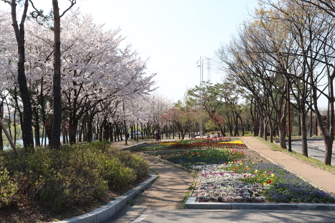 Romanticnic | Seonyudo, Picnic set rental that sets a mood of romance