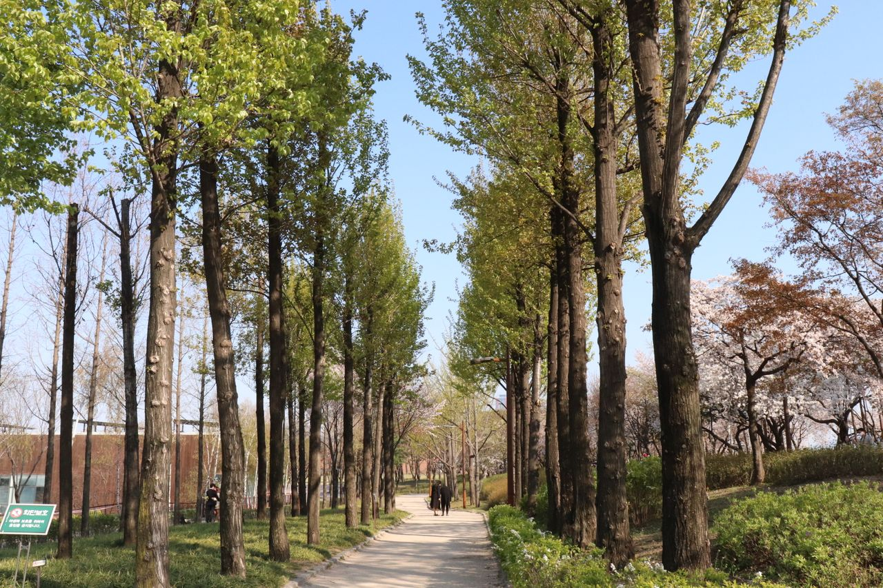 Romanticnic | Seonyudo, Picnic set rental that sets a mood of romance