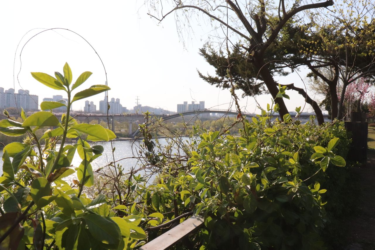 Romanticnic | Seonyudo, Picnic set rental that sets a mood of romance