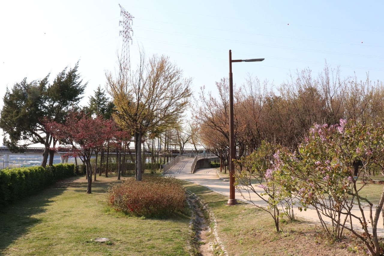 Romanticnic | Seonyudo, Picnic set rental that sets a mood of romance