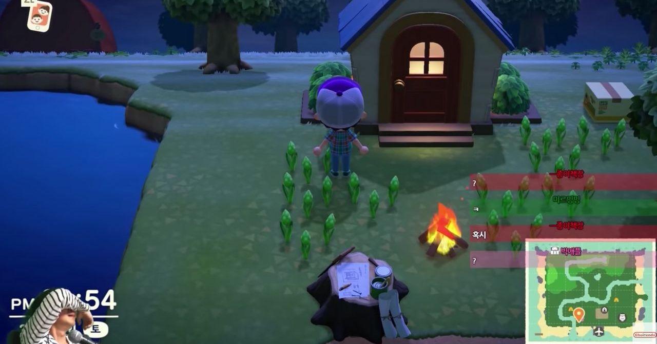 Berührende Geschichten aus „Animal Crossing“