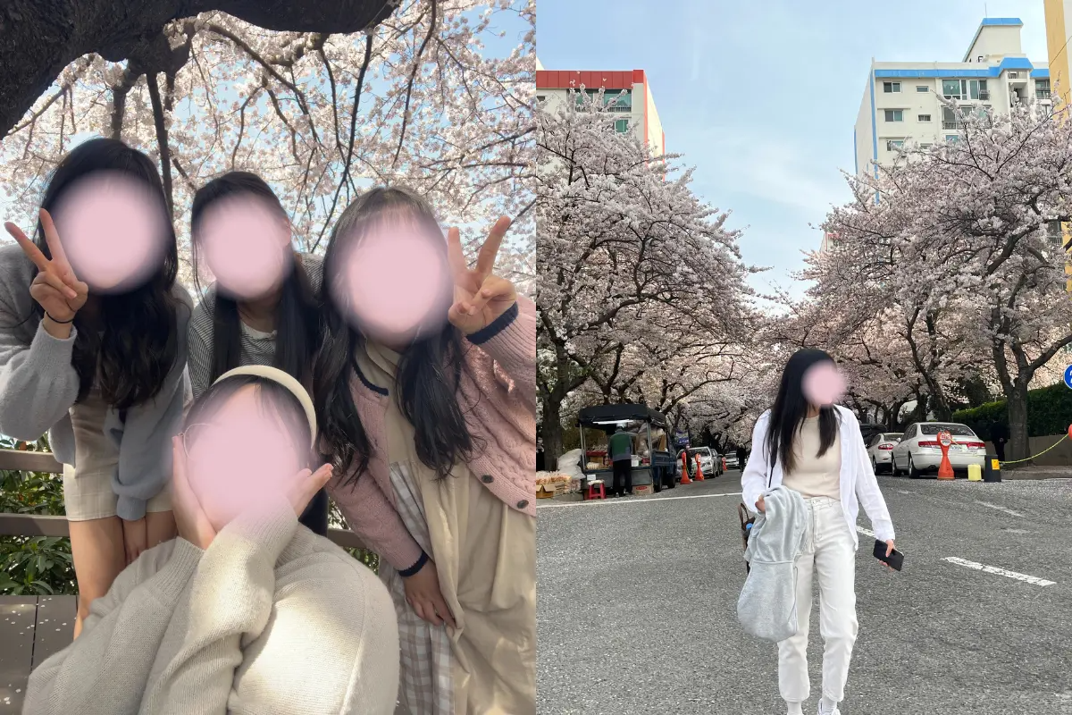 ソウル、ロングペディン、韓国の四季、韓国旅行、韓国の夏、韓国の冬、伏日、風邪、スキー場