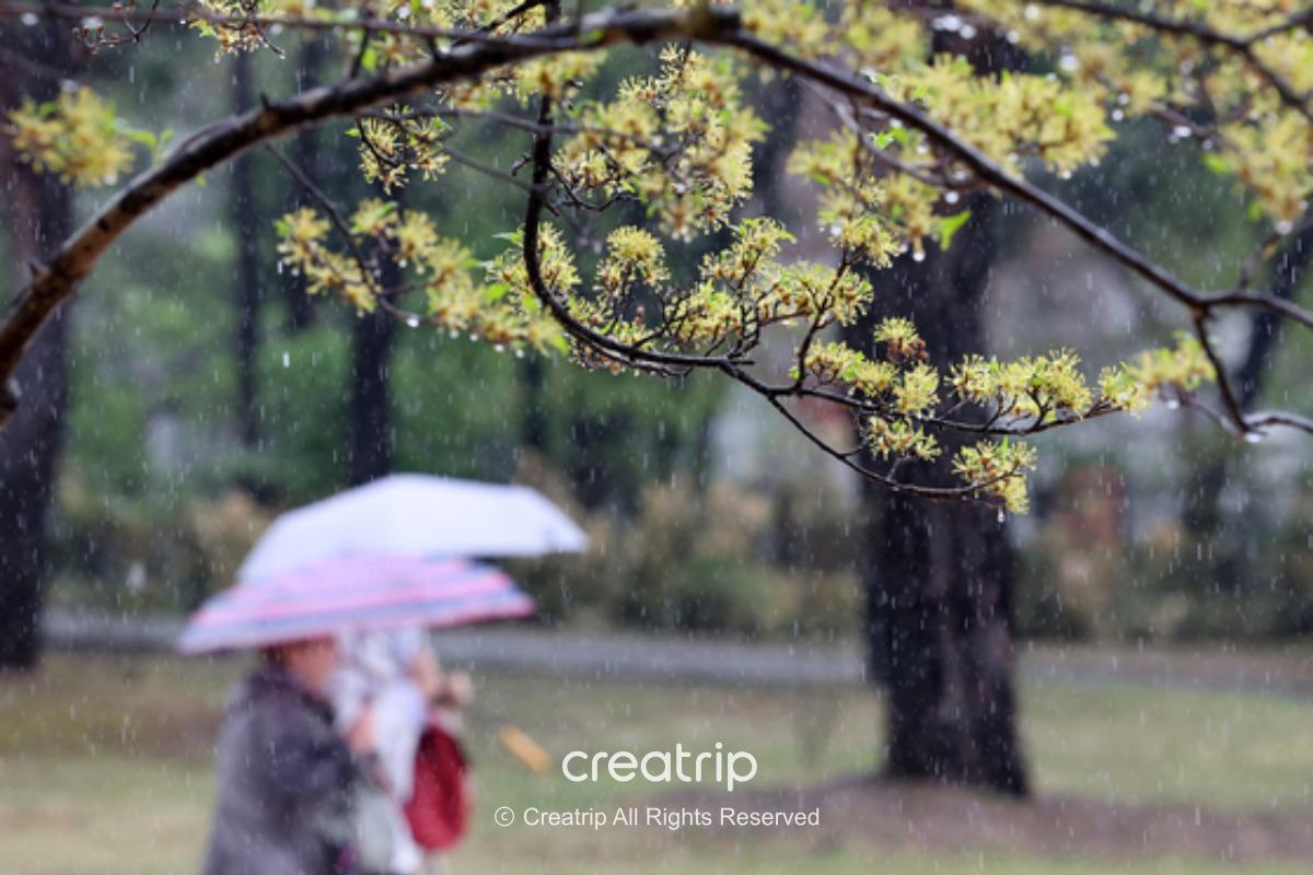 韓國春天天氣 韓國夏天天氣 韓國秋天天氣 韓國冬天天氣 韓國春天著咩衫 韓國夏天著咩衫 韓國秋天著咩衫 韓國冬天著咩衫 首爾天氣 韓國天氣 釜山天氣 濟州天氣