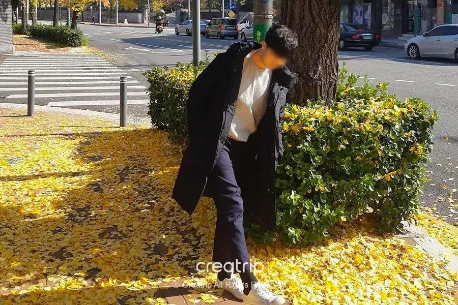 韓國春天天氣 韓國夏天天氣 韓國秋天天氣 韓國冬天天氣 韓國春天著咩衫 韓國夏天著咩衫 韓國秋天著咩衫 韓國冬天著咩衫 首爾天氣 韓國天氣 釜山天氣 濟州天氣