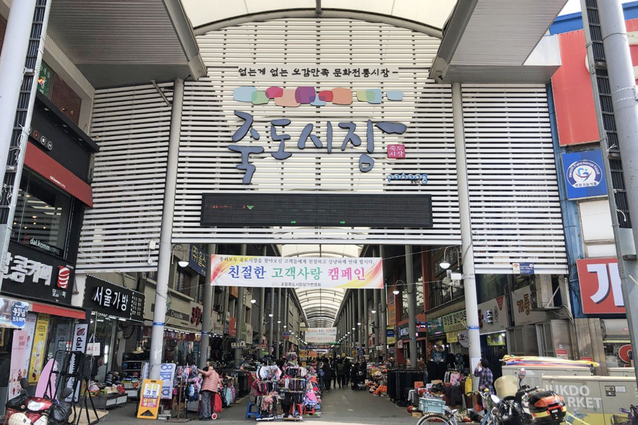 プサン ツアー｜浦項(ポハン)一日旅行、プサンツアー、浦項(ポハン)一日旅行、韓国ツアー、椿の花咲く頃、韓国ドラマ、韓ドラ、撮影地、日の出、絶景、自然の名所、韓国名所、韓国旅行、韓国観光、良洞マウル、浦項竹島マウル、虎尾串、ホミゴッ、ドラマのロケ地、韓国子連れ、