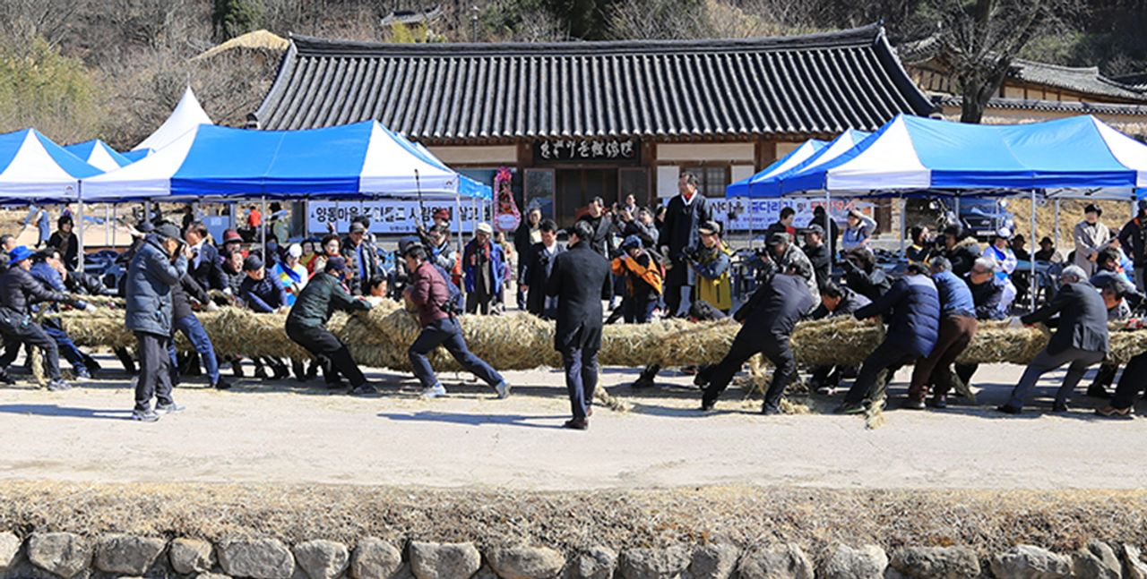 プサン ツアー｜浦項(ポハン)一日旅行、プサンツアー、浦項(ポハン)一日旅行、韓国ツアー、椿の花咲く頃、韓国ドラマ、韓ドラ、撮影地、日の出、絶景、自然の名所、韓国名所、韓国旅行、韓国観光、良洞マウル、浦項竹島マウル、虎尾串、ホミゴッ、ドラマのロケ地、韓国子連れ、