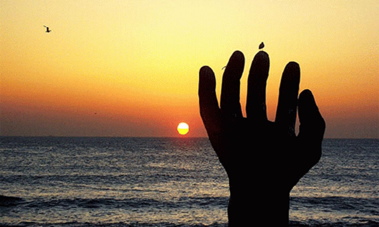 プサン ツアー｜浦項(ポハン)一日旅行、プサンツアー、浦項(ポハン)一日旅行、韓国ツアー、椿の花咲く頃、韓国ドラマ、韓ドラ、撮影地、日の出、絶景、自然の名所、韓国名所、韓国旅行、韓国観光、良洞マウル、浦項竹島マウル、虎尾串、ホミゴッ、ドラマのロケ地、韓国子連れ、