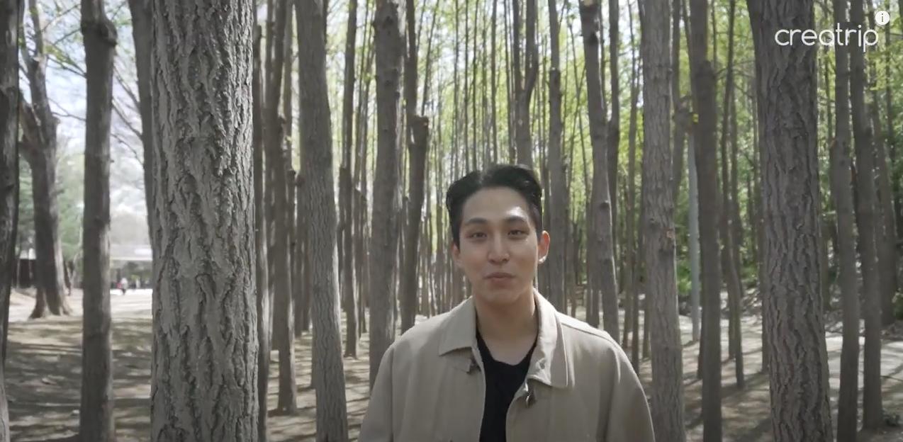 Foresta di Seul | La guida di Oppa