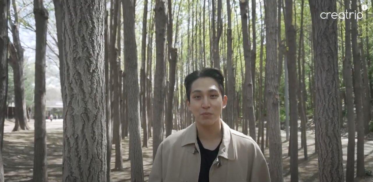 ป่าสนซีดาร์ที่สวยงามในเมืองนาเจลพัมิตร ประเทศเกาหลีใต้ หนึ่งในจุดท่องเที่ยวที่เงียบสงบเหมาะสำหรับการพักผ่อนและการเดินเล่น