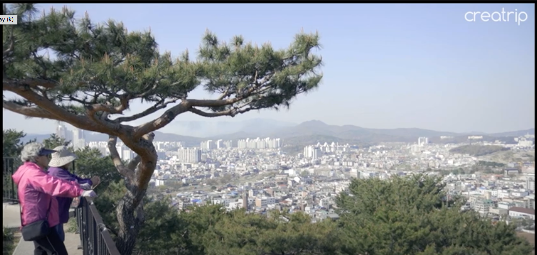 Suwon Hwaseongㅣ Oppa's tour Tour around with Oppa and see Hwaseong Fortress, Haenggung, chicken street and more!