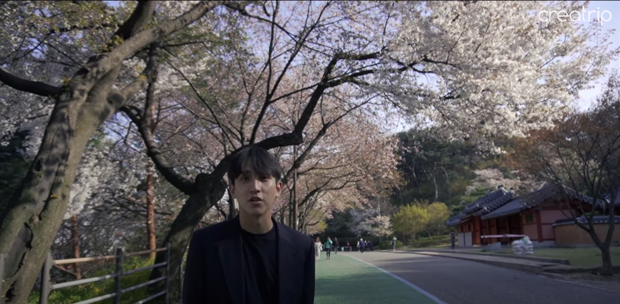 Suwon Hwaseongㅣ Oppa's tour Tour around with Oppa and see Hwaseong Fortress, Haenggung, chicken street and more!