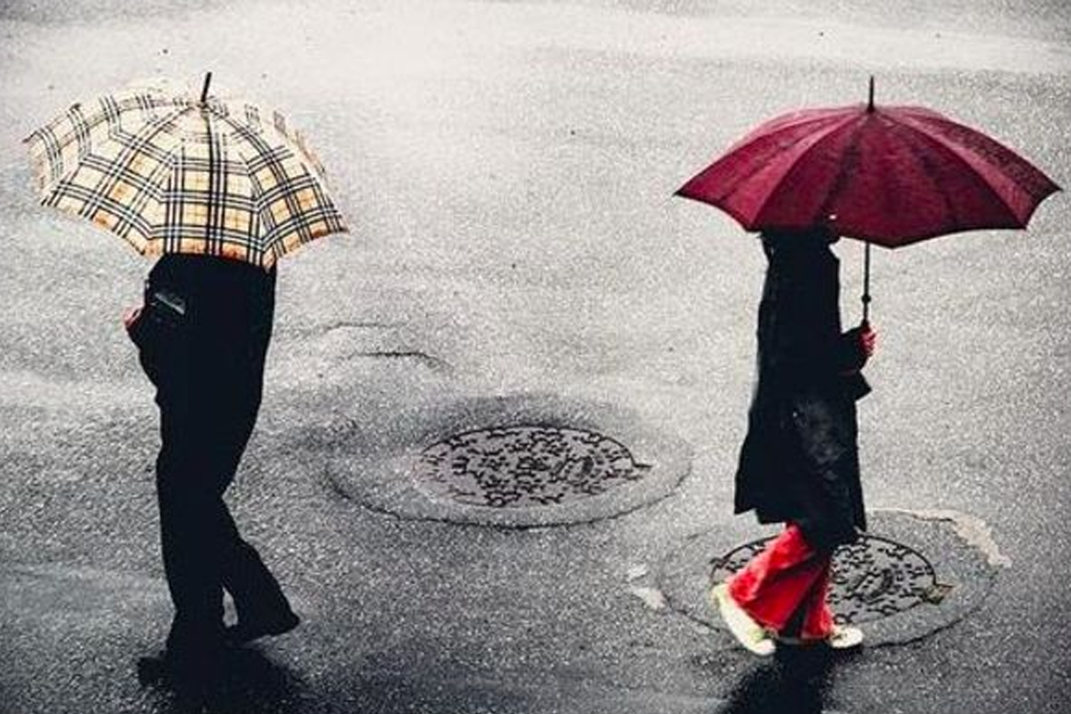 雨天中兩位持不同顏色雨傘的人並行，暗示感情中的漠視與分歧