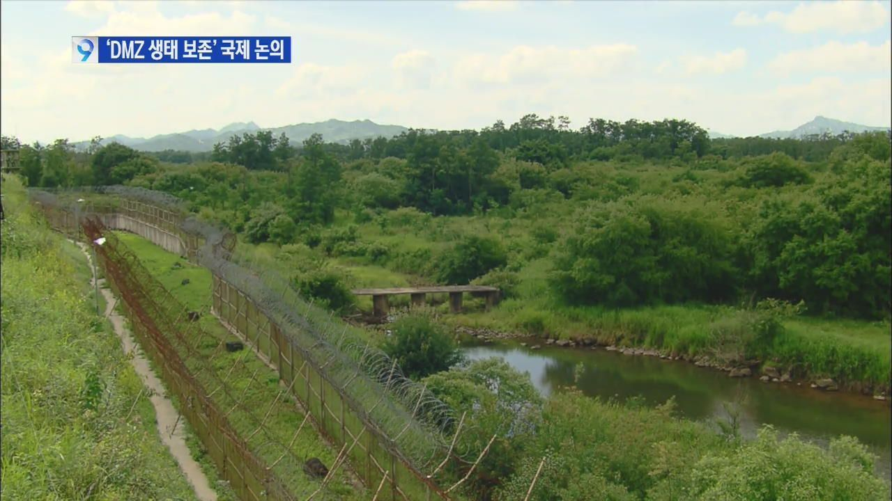 韓朝非武裝地帶（DMZ）內的生態環境，展示綠色自然景觀。