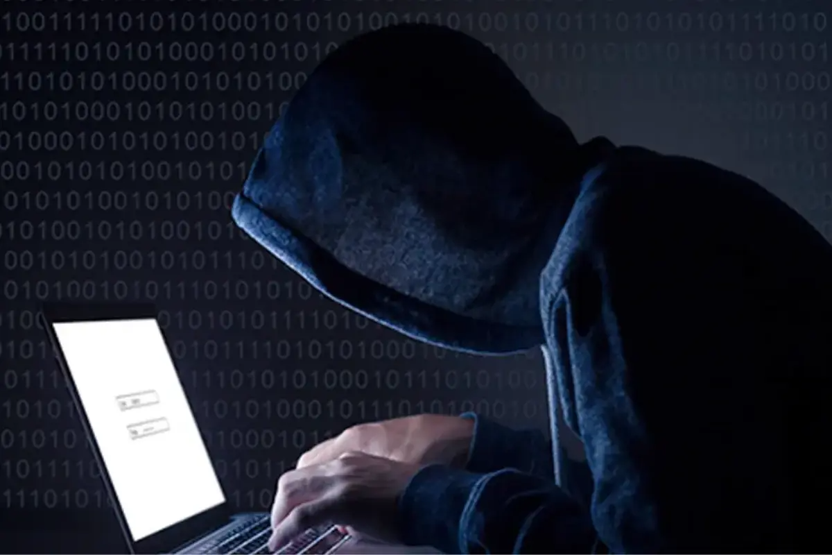 n號房 韓國N號房事件 N號房事件 大學版N號房 首爾大學N號房 首爾大N號房 韓國社會 韓國新聞 社會問題 社會新聞 韓國最新新聞 Deepfake 網路性犯罪