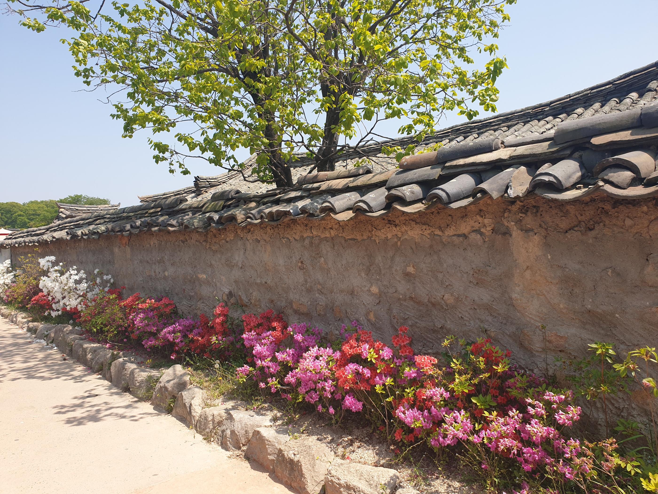 #慶州 #キョンジュ #キョンジュ旅行 #慶州旅行 #キョンジュ観光 #キョンジュグルメ #キョンジュ美味しいお店 #キョンジュカフェ #ファンリダンギル #キョンジュデザート #黄金10ウォンパン