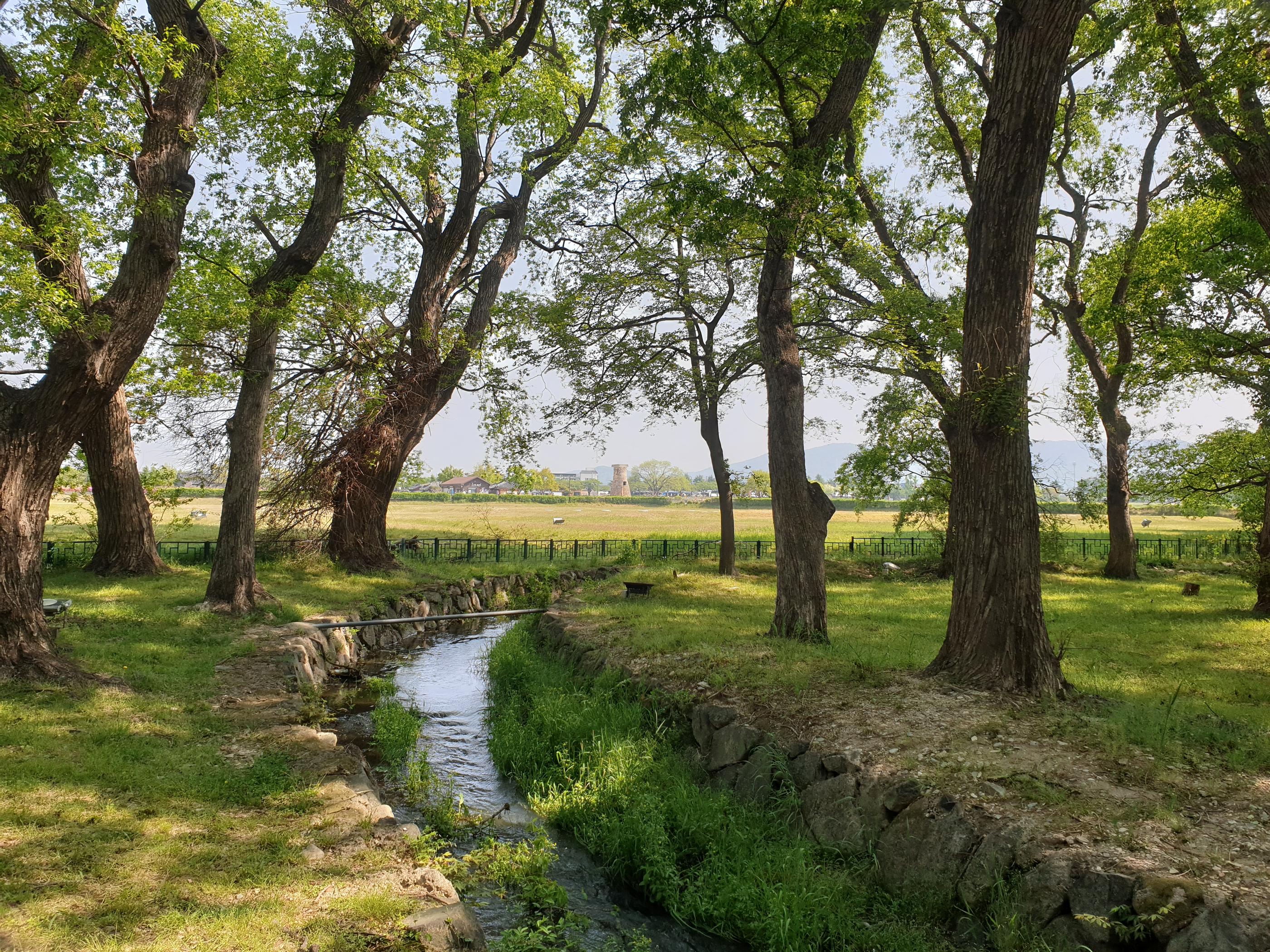 첨성대、瞻星台、チョムソンデ、慶州、キョンジュ、韓国田舎、韓国、韓国歴史、월정교、月精橋、ウォルジョンギョ、교촌한옥마을、校村韓屋村、キョチョンハノクマウル、韓屋村、계림、鶏林、ケリム、ファンリダンギル、대릉원、大陵苑、デルンウォン、동궁과월지、東宮と月地、トングングァウォルチ、キョリキンパ、チャルボリパン、10ウォンパン、キョンジュパン、慶州パン、慶州ワールド、キョンジュワールド、韓国絶叫コースター、韓国遊園地、スンドゥブ、スンドゥブチゲ、ジョン、チヂミ、仏国寺、プルグッサ、ソクラム、石窟庵,慶州、キョンジュ、ソウル郊外