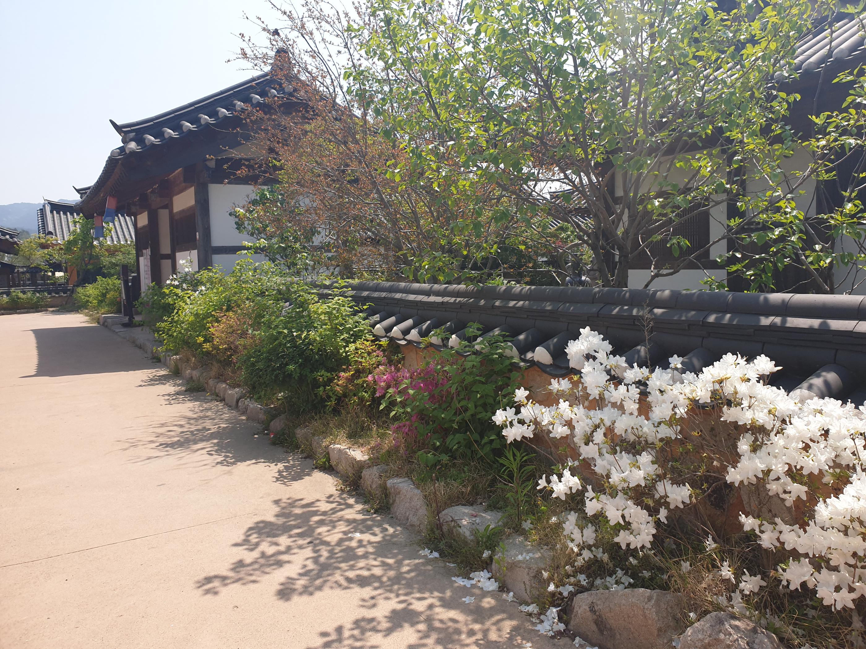 첨성대、瞻星台、チョムソンデ、慶州、キョンジュ、韓国田舎、韓国、韓国歴史、월정교、月精橋、ウォルジョンギョ、교촌한옥마을、校村韓屋村、キョチョンハノクマウル、韓屋村、계림、鶏林、ケリム、ファンリダンギル、대릉원、大陵苑、デルンウォン、동궁과월지、東宮と月地、トングングァウォルチ、キョリキンパ、チャルボリパン、10ウォンパン、キョンジュパン、慶州パン、慶州ワールド、キョンジュワールド、韓国絶叫コースター、韓国遊園地、スンドゥブ、スンドゥブチゲ、ジョン、チヂミ、仏国寺、プルグッサ、ソクラム、石窟庵,慶州、キョンジュ、ソウル郊外