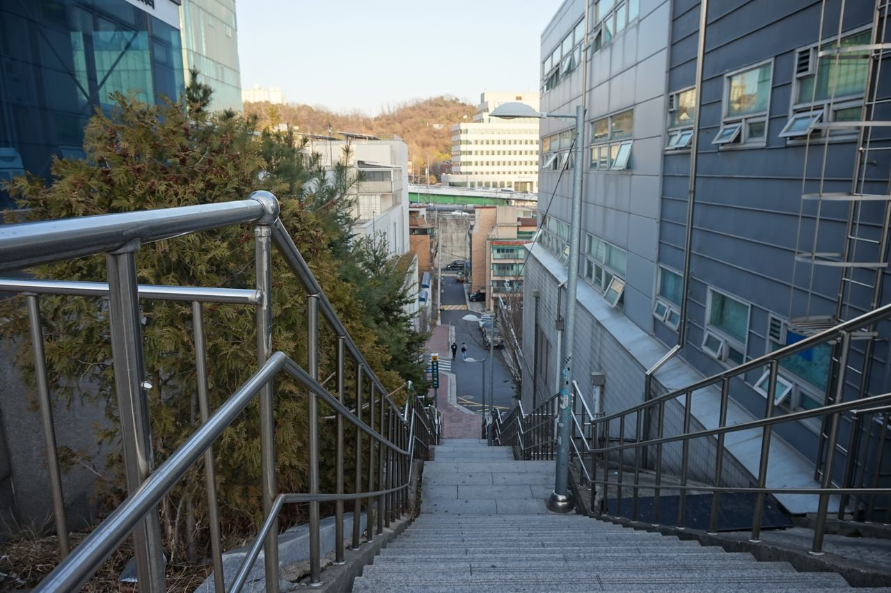 イテウォンカフェ、オールドフェリードーナッツ、Old Ferry Donut、オシャレなカフェ、可愛いカフェ、韓国カフェ、ソウルカフェ、話題のカフェ、人気のカフェ、韓国女子に人気、インスタ映え、美味しいお店、ユニークなカフェ、韓国人気スポット、コーヒー、ティラミス、チューブラテ、最近の人気、韓国旅行、韓国観光、ソウル観光韓国カフェ、ソウルカフェ、梨泰院、イテウォン、イテウォンクラス、梨泰院クラス、漢南洞、ハンナムドン、ハンナム洞、カフェ、ドーナツ、ドーナツアイスクリーム、韓国ドーナツ屋、韓国ドーナツ、韓国ジェラート、オールドフェリードーナツ、OLDFERRYDONUT、オールドフェリー、フェリードーナツ、韓国アイスクリーム、韓国シリアル、韓国グルメ、マッチブ、モッパン、韓国デザート、韓国、デート、ソルティーパブ