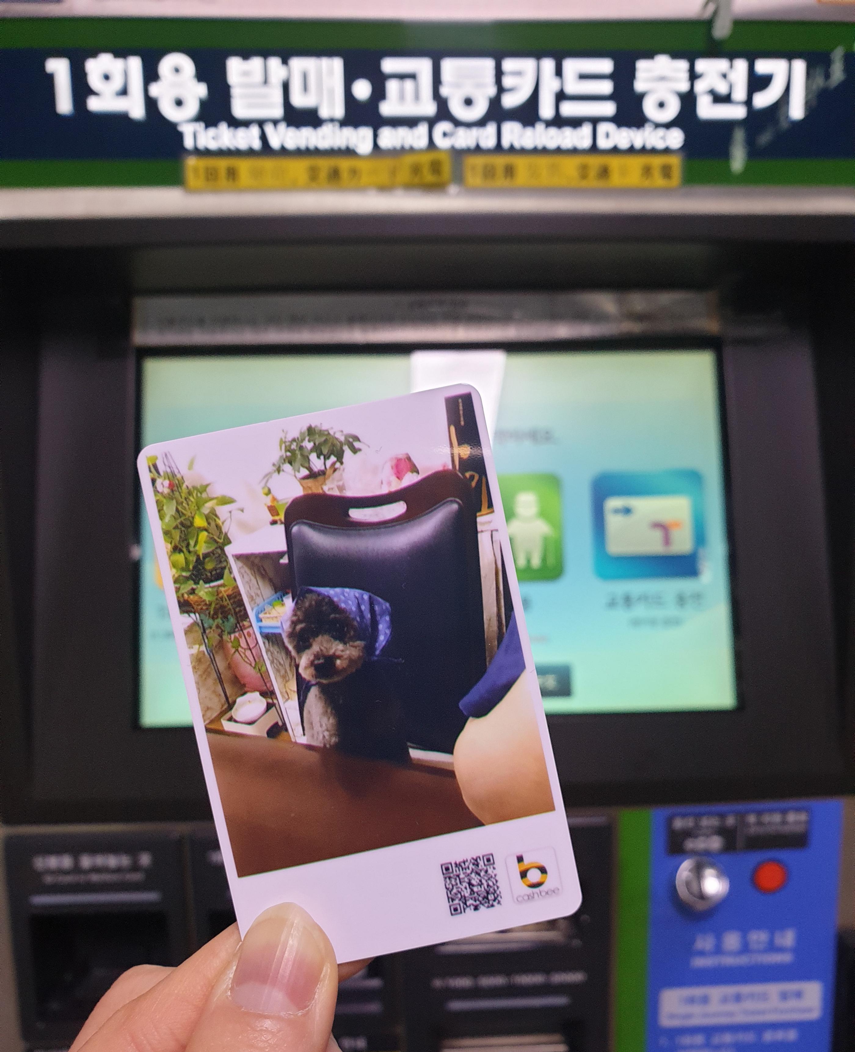 韓国、交通カード、韓国交通カード、ティーモニ―、ティーマネー、Tmony、韓国オリジナル、韓国ダイソー、ダイソー、ミョンドン、明洞、韓国ハンドメイド、オリジナルカード作り、カード作り、交通カード作り、防弾少年団、BTSカード、韓国語、ハングル