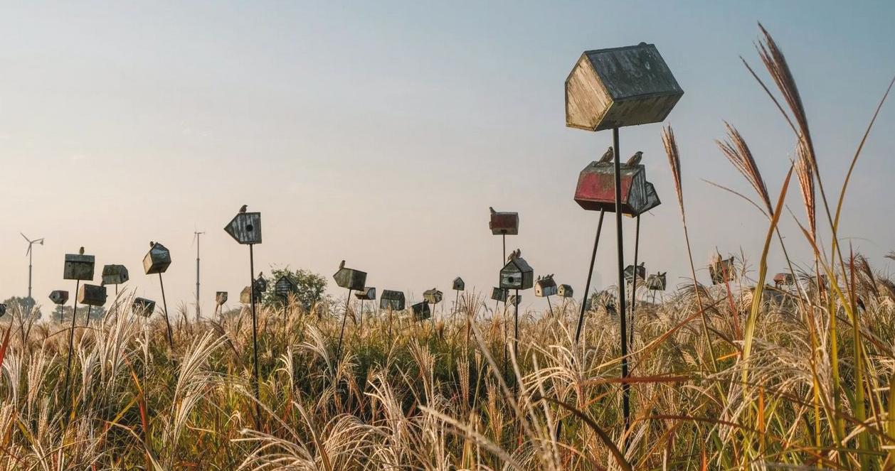 7 điểm đến, quán cafe ở Hàn mà BTS từng ghé qua