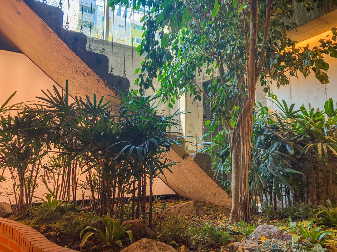 韓国芸能人が運営するカフェ、韓国観光、韓国旅行、韓国芸能人、韓流スター、韓国アイドル、韓国カフェ、ホンデカフェ、済州島カフェ、コンデカフェ、イジョンソク、ユアイン、パクジョンミン、イェソン、ソンミノ、ジョンヨプ、ペヨンジュン、Dos2、テジナ、ジードラゴン、人気のお店、有名なお店、美味しいお店、