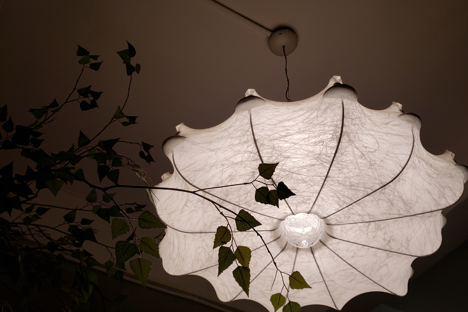 新村 choco blossom