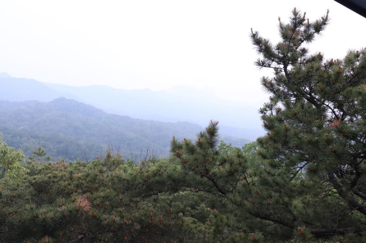 Find peace within from a temple stay within Seoul!