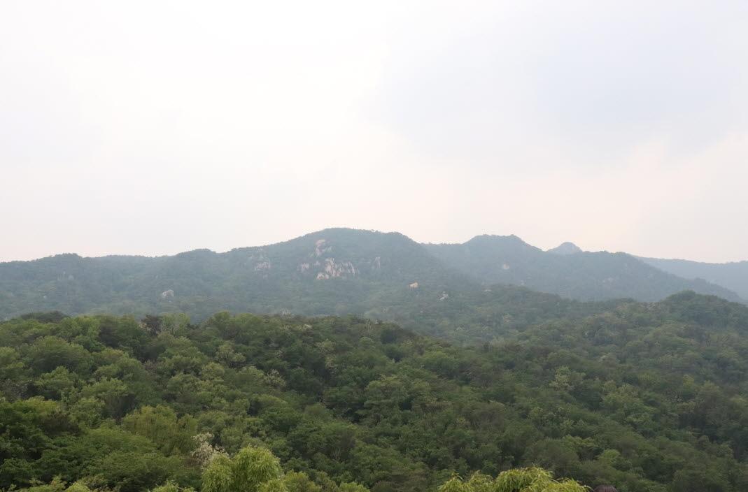 Find peace within from a temple stay within Seoul!