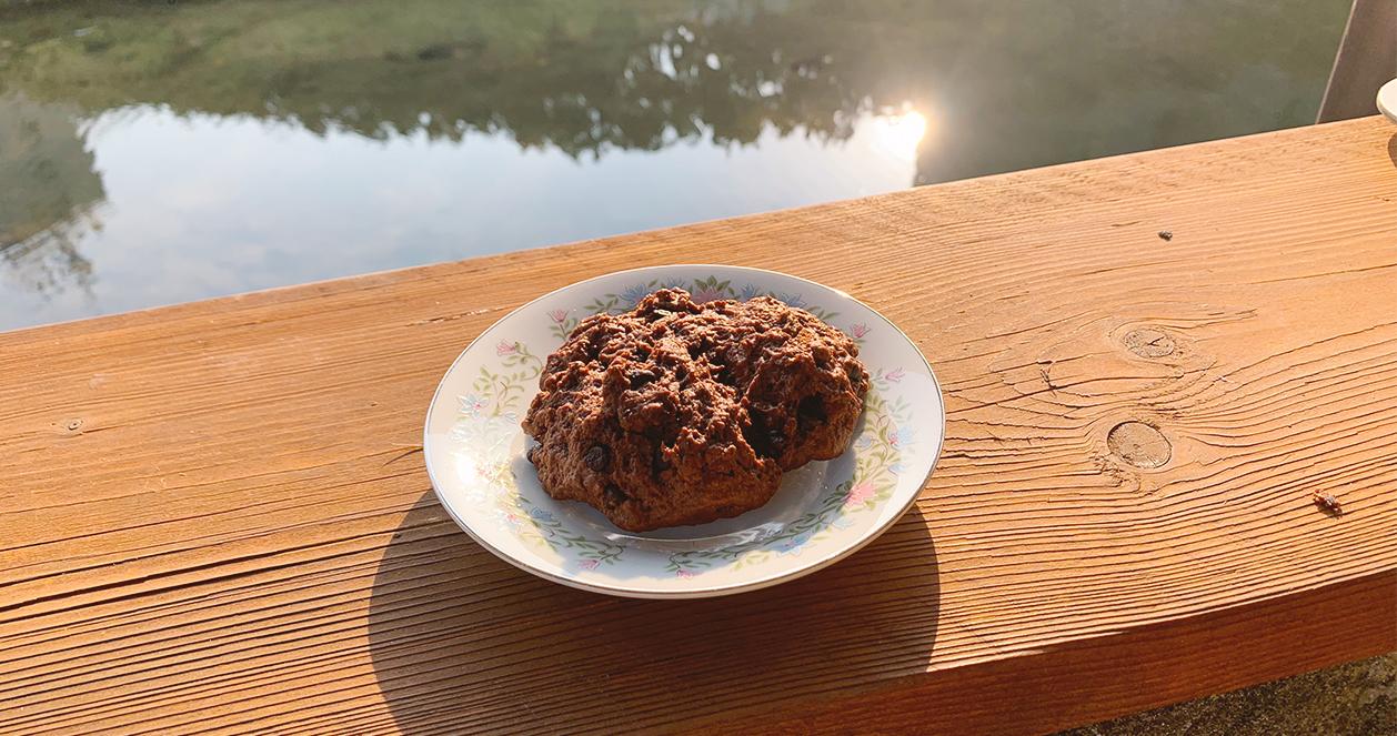 Coffee Interview | Quán cafe sân vườn đẹp nhất Daejeon 