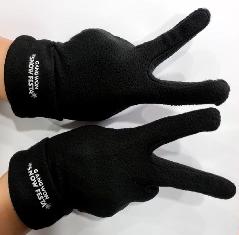 Snowy Land Day Tour | Reserve now and get special presents for early birds!