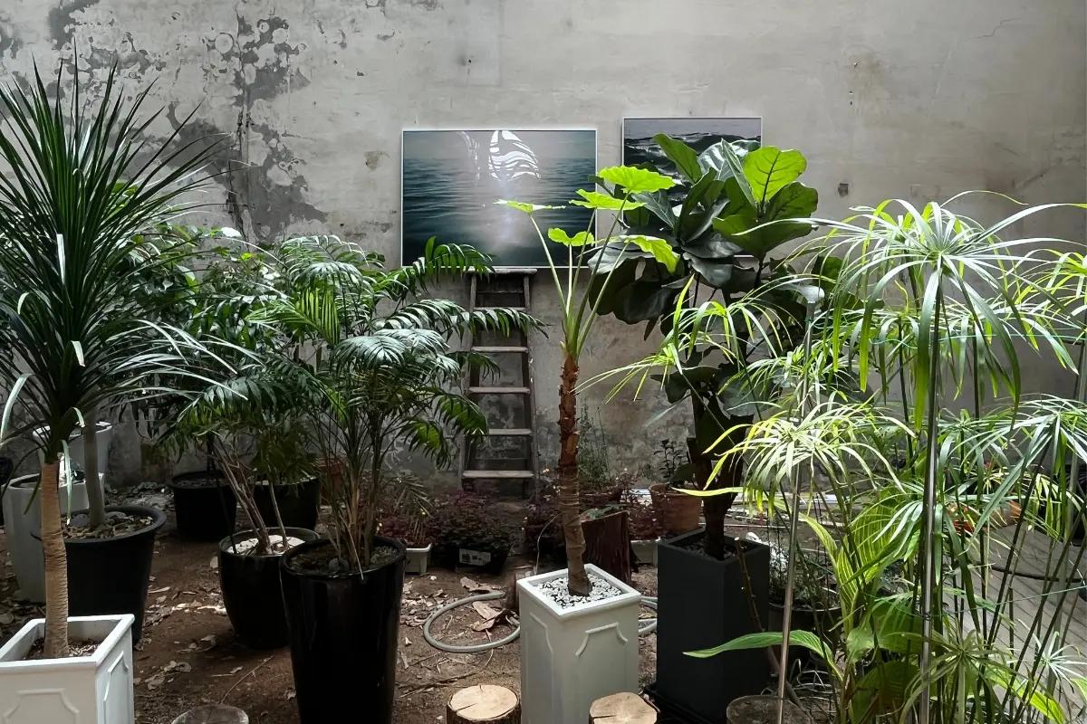 聖水洞 聖水カフェ ソウル ソウル旅行 韓国旅行 ソウル聖水 大林倉庫 ソウルカフェ