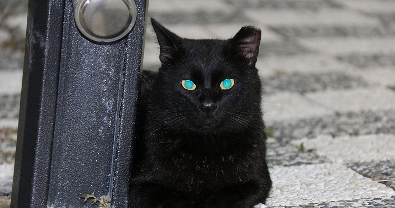 7 đặc điểm ở Hàn mà người nước ngoài thấy vô cùng kì lạ