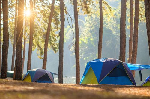 Camping Grounds Outside Seoul 4 amazing camping sites that could refresh you tired soul