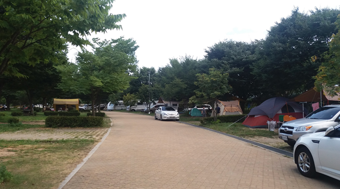 Campeggi fuori Seoul 4 siti di campeggio sorprendenti che potrebbero rinfrescare la tua anima stanca