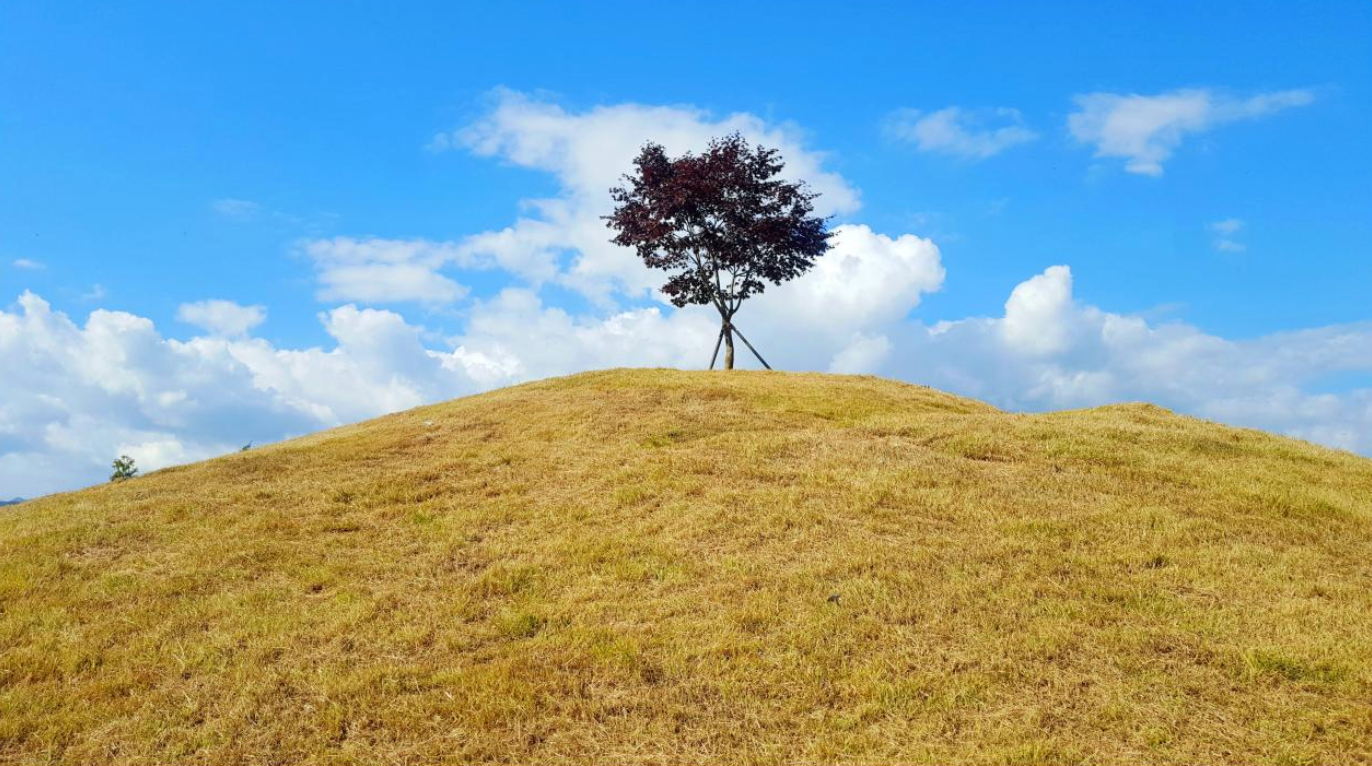 Camping Grounds Outside Seoul 4 amazing camping sites that could refresh you tired soul