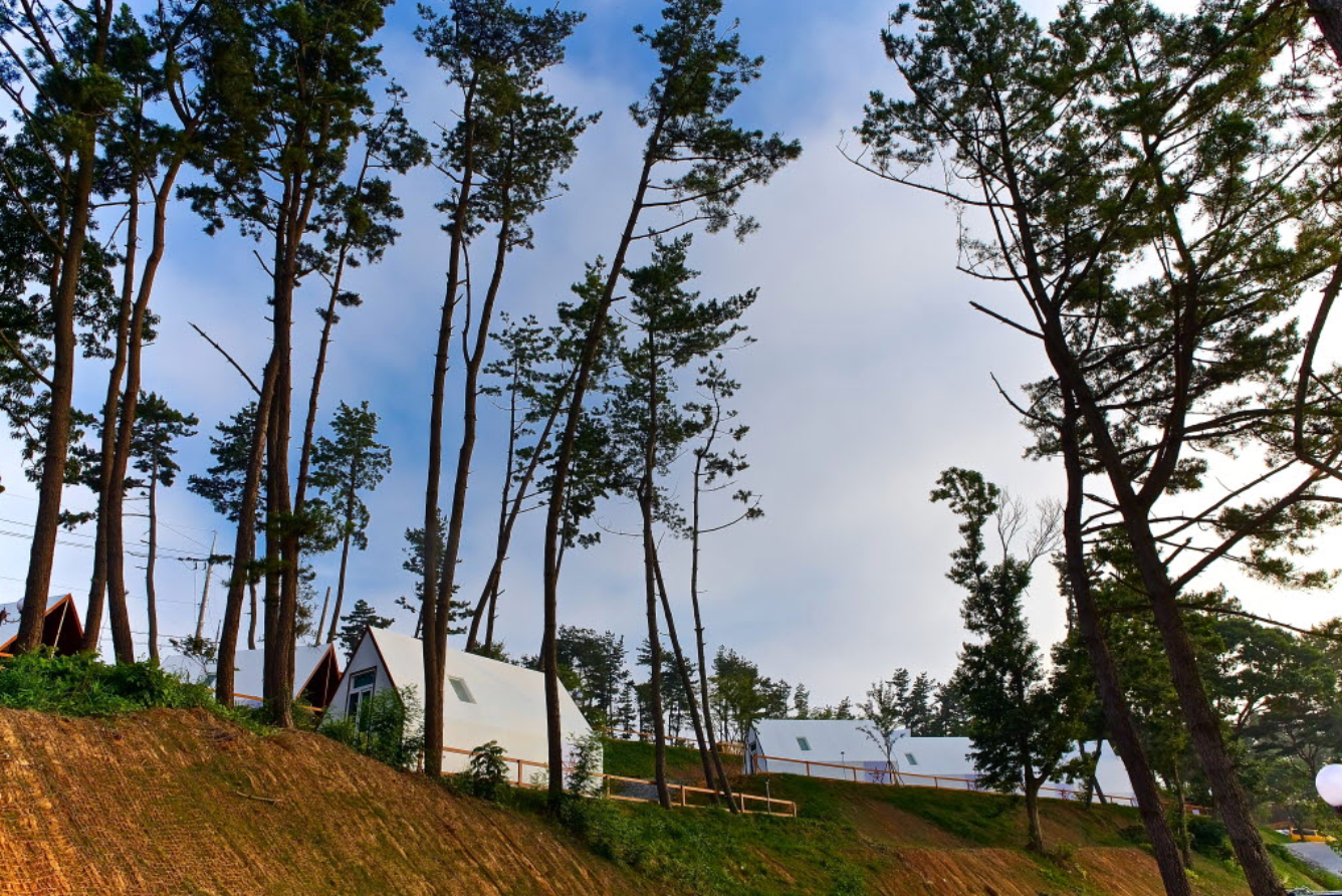 Camping Grounds Outside Seoul 4 amazing camping sites that could refresh you tired soul