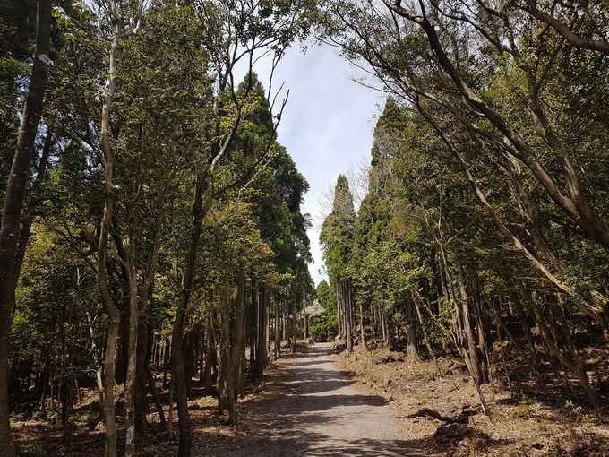 Hyun Bin Tour | Korean travel sites visited by Hyun Bin!