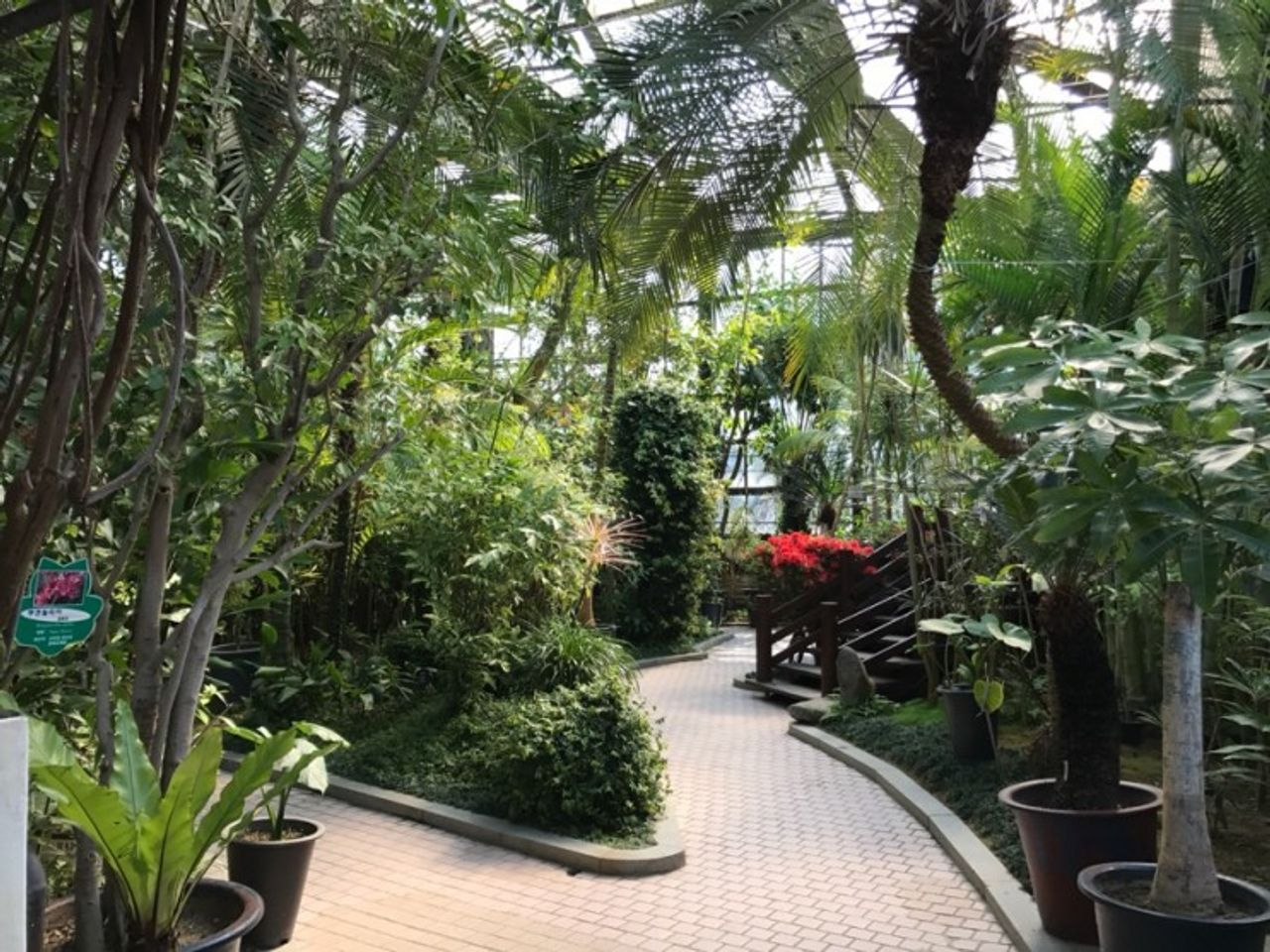 仁川植物園內部景色，展示各種綠色植物和石頭小道。