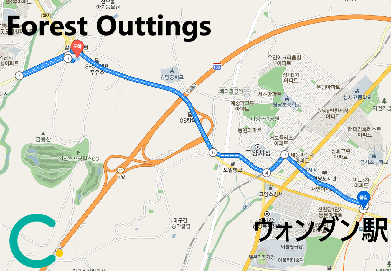 韓国、韓国カフェ、カフェ、大きなカフェ、倉庫型カフェ、一山、一山カフェ、イルサン、イルサンカフェ、ソウル郊外、郊外カフェ、ソウル郊外カフェ、韓国パン、パン、森カフェ、韓国田舎、田舎、韓国倉庫カフェ、ソウルに飽きた、景色の良いカフェ、韓国行きたい、コロナ対策、韓国イルサン、韓国一山、高陽市、高陽、コヤン、コヤン市、韓国高陽、韓国コヤン、コヤンカフェ、高陽カフェ