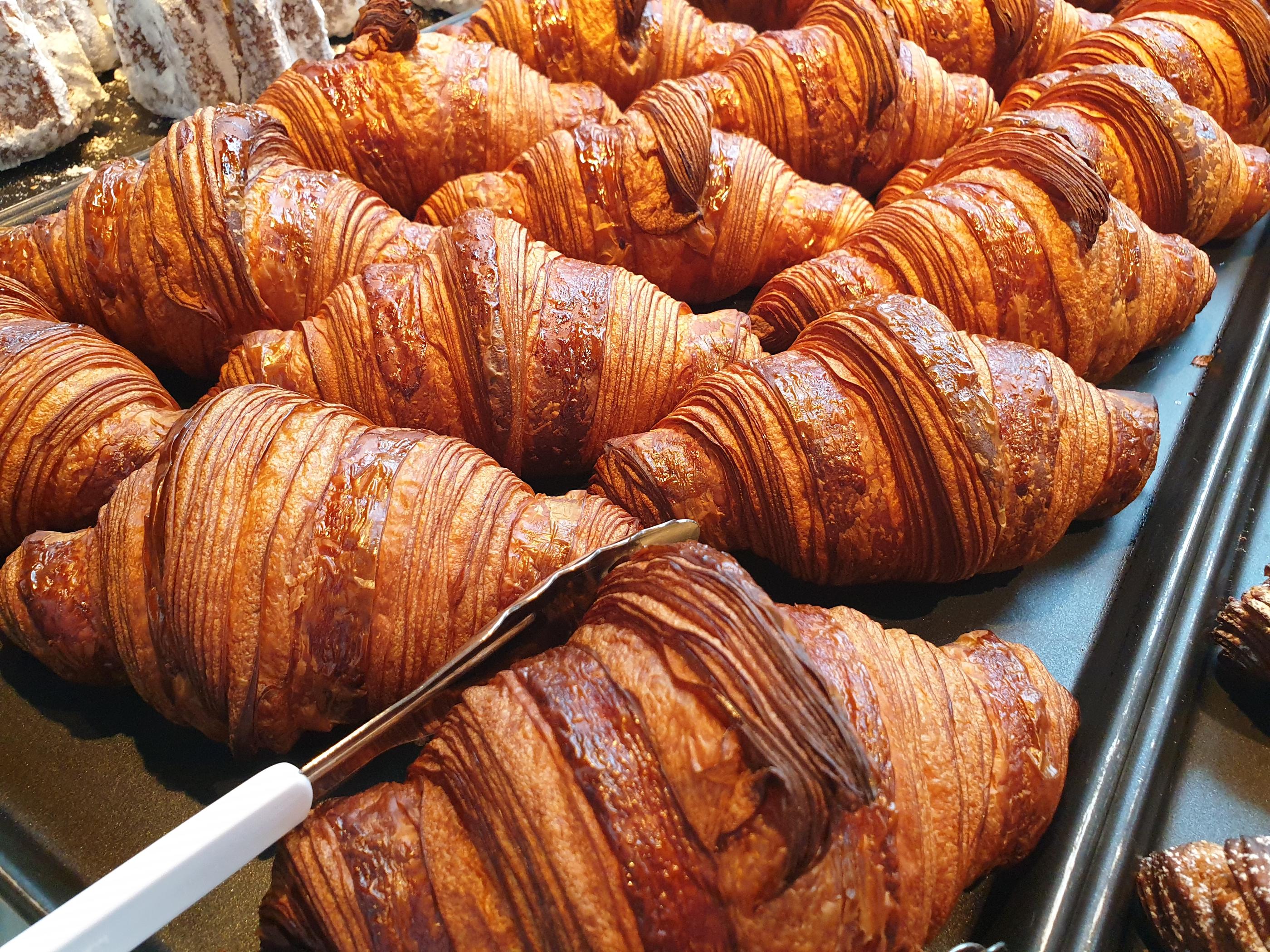 韓国、韓国カフェ、カフェ、大きなカフェ、倉庫型カフェ、一山、一山カフェ、イルサン、イルサンカフェ、ソウル郊外、郊外カフェ、ソウル郊外カフェ、韓国パン、パン、森カフェ、韓国田舎、田舎、韓国倉庫カフェ、ソウルに飽きた、景色の良いカフェ、韓国行きたい、コロナ対策、韓国イルサン、韓国一山、高陽市、高陽、コヤン、コヤン市、韓国高陽、韓国コヤン、コヤンカフェ、高陽カフェ、クリエイトリップ、creatrip、韓国旅行、ソウル旅行、日韓カップル、日韓夫婦