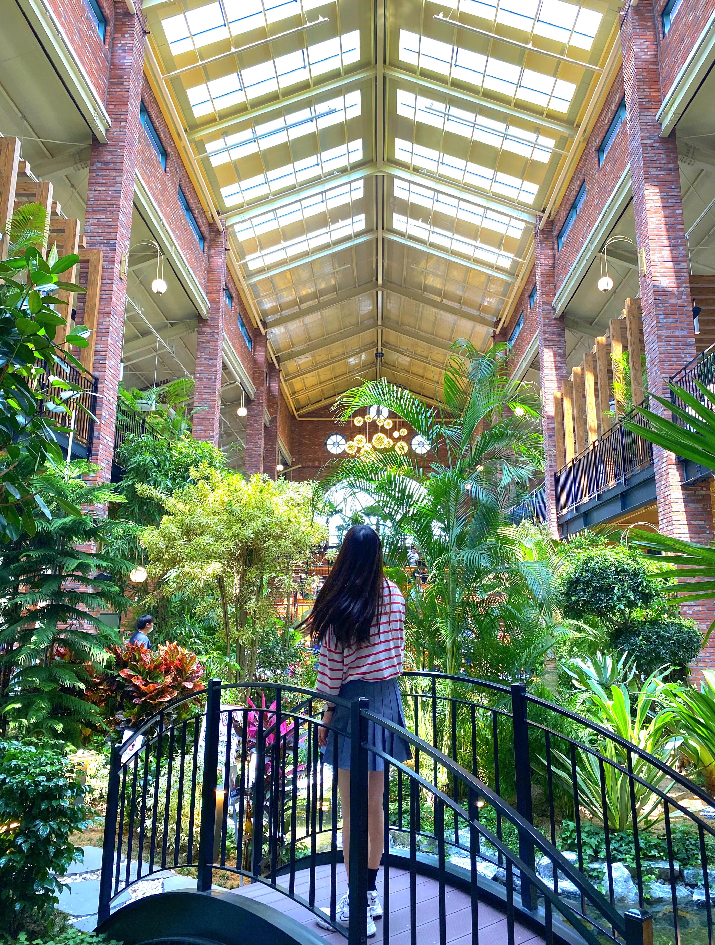 韓国の人気カフェフォレストアウッティンス。庭園のような内部で樹々と橋が美しい造形を形成。