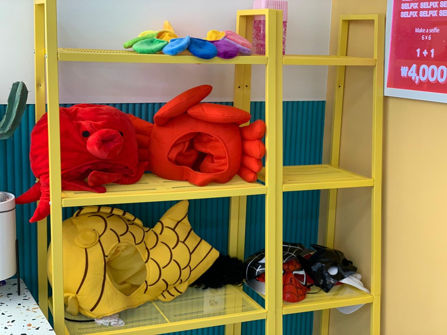 仲以为仲Hit紧影「人生四格」？依家韩国已经进化到6+6！